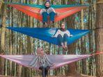 spot-foto-instagramable-di-hutan-pinus-pengger.jpg