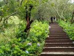 spot-instagramable_20170927_150917.jpg