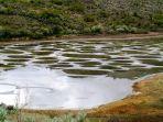 spotted-lake-kanada.jpg