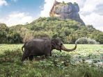 sri-lanka-travel.jpg