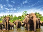 sri-lanka_20170903_174346.jpg