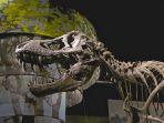 Pecahkan Rekor, Kerangka T-Rex Ini Laku Seharga Rp 469 miliar dalam Acara Lelang