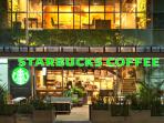 starbuck_20161111_225933.jpg