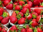 strawberry_20180816_093327.jpg