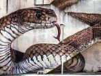 street-art-di-guarda-portugal_20180713_213936.jpg