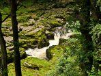 strid-di-bolton-abbey-inggris-aliran-air-paling-mematikan-di-dunia.jpg