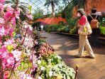 suasana-di-flower-dome-singapura.jpg