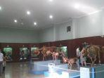 suasana-di-pintu-masuk-utama-museum-zoologi-bogor.jpg