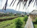 suasana-di-tempat-wisata-sawah-batu-bukateja.jpg