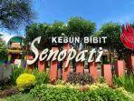 suasana-kebun-bibit-senopati-di-magelang.jpg