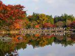 suasana-musim-gugur-di-air-mancur-taman-showa-kinen-midoricho-tachikawa-tokyo-jepang.jpg