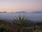 suasana-sunrise-bukit-moko-satu-tempat-wisata-bandung-yang-sejuk-dan-cocok-buat-healing.jpg