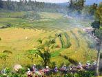 subak-jatiluwih.jpg
