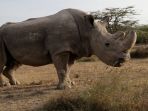 sudan_20180321_114758.jpg