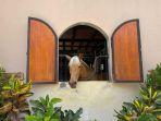 sukasikuda-stable.jpg