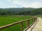 sukorame_20180106_084135.jpg