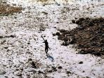 suku-sentinelese_20180502_155430.jpg
