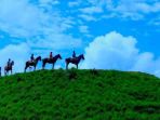 sumba_20170419_101617.jpg
