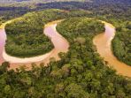 sungai-amazon_20180909_190515.jpg