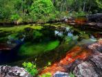 sungai-cano_20160914_233654.jpg