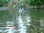 sungai-landak-sumatera-utara_20160920_203601.jpg