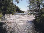 sungai-roe-giant-springs-state-park-dan-giant-springs-trout-hatchery-great-falls-montana-as.jpg