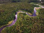 sungai-yang-membelah-hutan-amazon.jpg