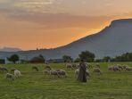 sunset-di-lesotho.jpg