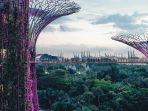 supertree-grove-gardens-by-the-bay-singapura.jpg