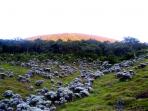 suryakencana_20160814_211407.jpg