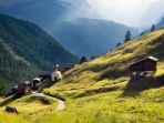 swiss_20170117_142352.jpg