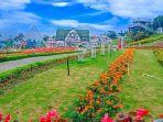 taman-bunga-celosia-bandungan-kabupaten-semarang.jpg