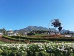 taman-bunga-celosia-satu-tempat-wisata-instagramable-di-bandungan-semarang.jpg