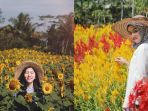 taman-bunga-di-jogja_20180613_095233.jpg