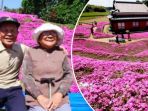 Pria di Jepang Tanam Bunga Selama 30 Tahun Meski Istri Tak Bisa Melihat, Perjuangannya Tak Sia-sia