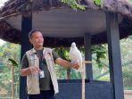 Wajah Baru Taman Burung Jagat Satwa Nusantara TMII, Bakal Dibuka Kembali 17 Agustus Besok