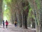 taman-harmoni-atau-taman-hutan-kota-keputih-surabaya1.jpg