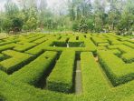taman-labirin-coban-rondo_20180128_172635.jpg