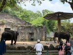 5 Aktivitas Seru di Taman Margasatwa Ragunan, Melihat Satwa hingga Sewa Sepeda untuk Berkeliling