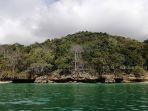 taman-nasional-alas-purwo-di-banyuwangi.jpg