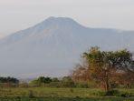 taman-nasional-baluran-situbondo-jawa-timur.jpg
