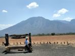 taman-nasional-baluran_20171212_110933.jpg
