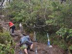 taman-nasional-gede-pangrango_20171201_175204.jpg