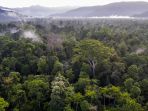 taman-nasional-gunung-leuser_20180314_211428.jpg