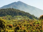 taman-nasional-kerinci-seblat_20170218_171201.jpg