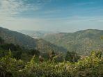 taman-nasional-khao-yai-satu-destinasi-wisata-terbaik-di-thailand.jpg