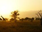 taman-nasional-kruger_20161203_194158.jpg