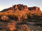 taman-nasional-lost-dutchman.jpg