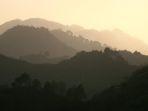 taman-nasional-margalla-hills.jpg