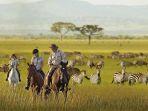 taman-nasional-serengeti-di-tanzania.jpg